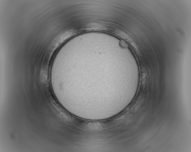 X0000113350882200910131237