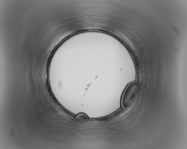 X0000113350885200910131237