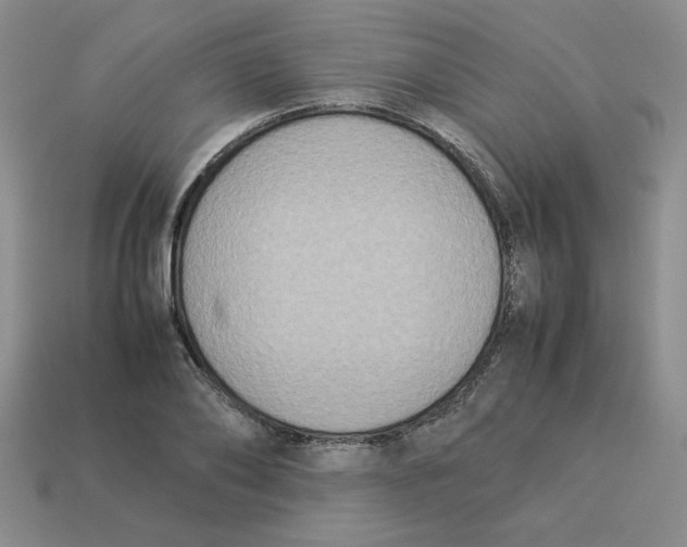 X0000113350886200910131237