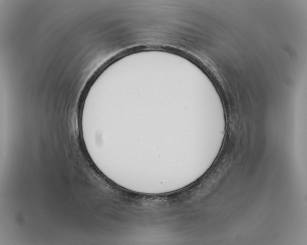 X0000113350887200910131237