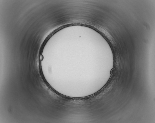 X0000113350888200910131237