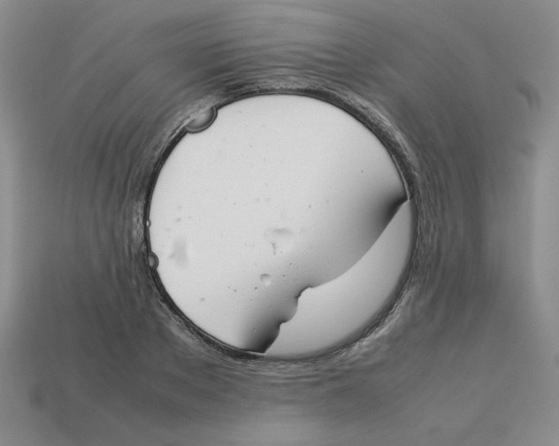 X0000113350889200910131237