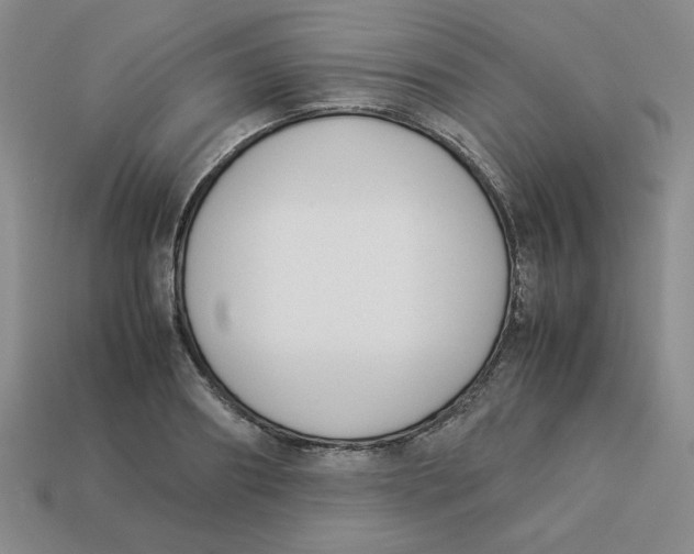 X0000113350890200910131237