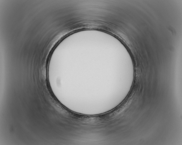 X0000113350891200910131237