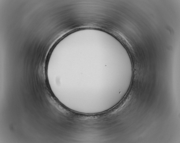 X0000113350892200910131237