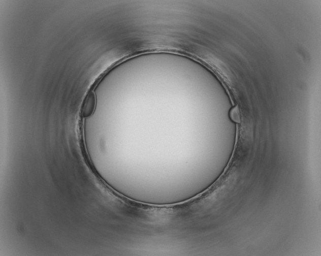 X0000113350893200910131237