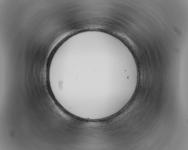 X0000113350894200910131237