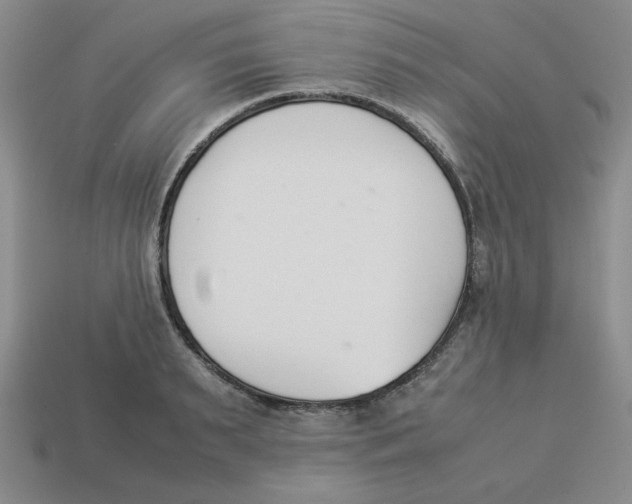 X0000113350895200910131237