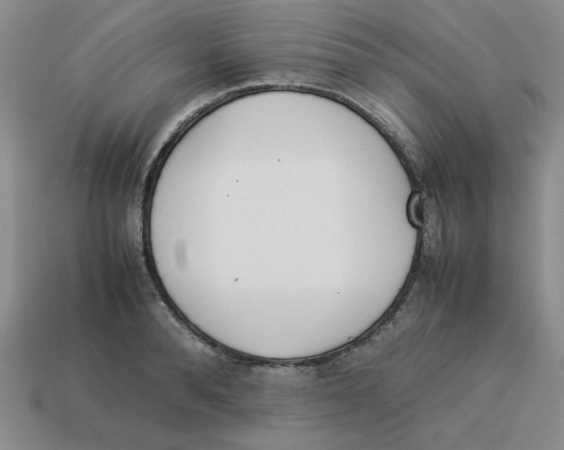 X0000113350896200910131237