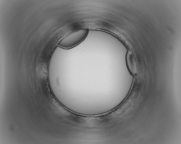 X0000113350897200910131237