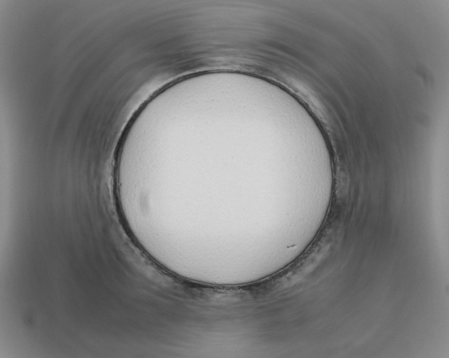 X0000113350899200910131237