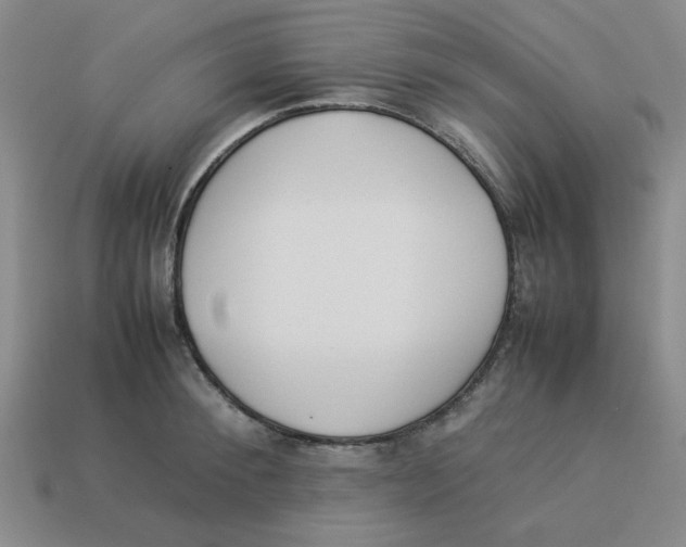 X0000113350900200910131237