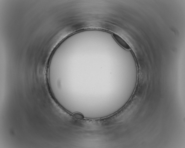 X0000113350901200910131237