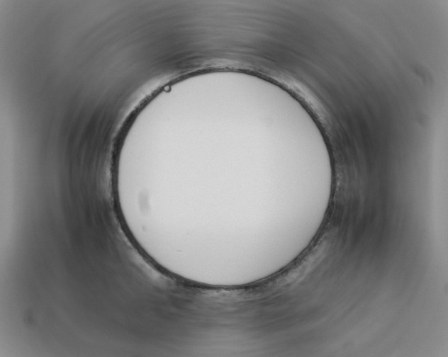 X0000113350902200910131237