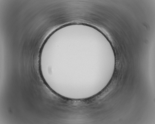 X0000113350903200910131237