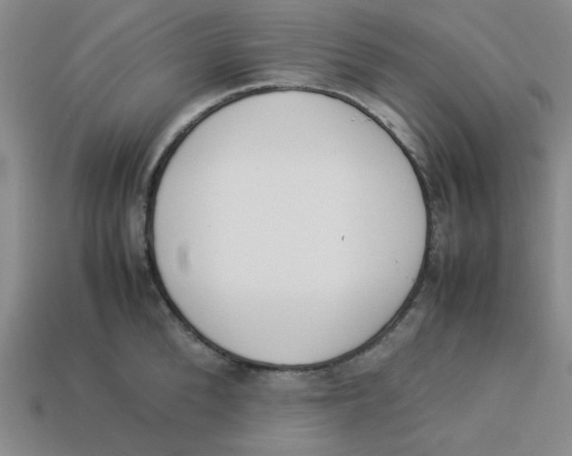 X0000113350904200910131237