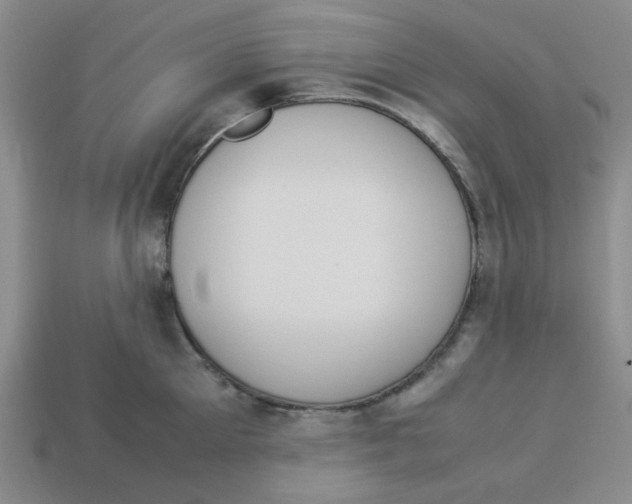 X0000113350905200910131237