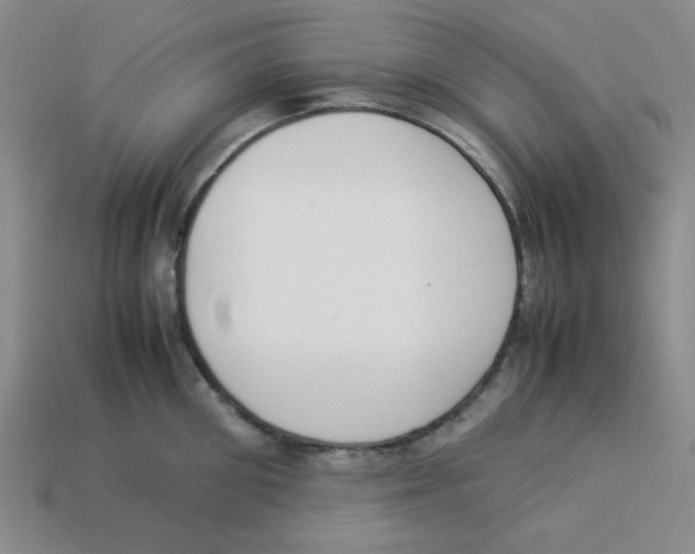 X0000113350906200910131237