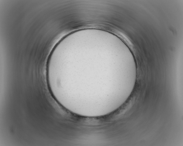 X0000113350907200910131237