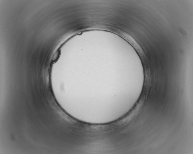 X0000113350908200910131237