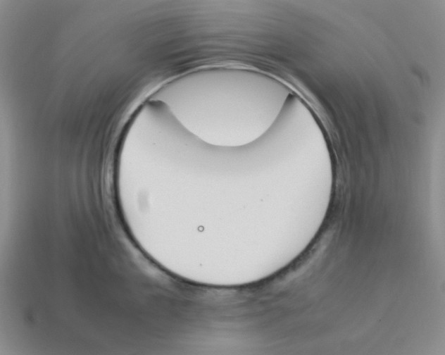 X0000113350909200910131237