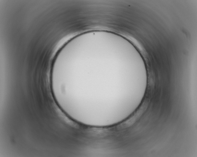 X0000113350910200910131237