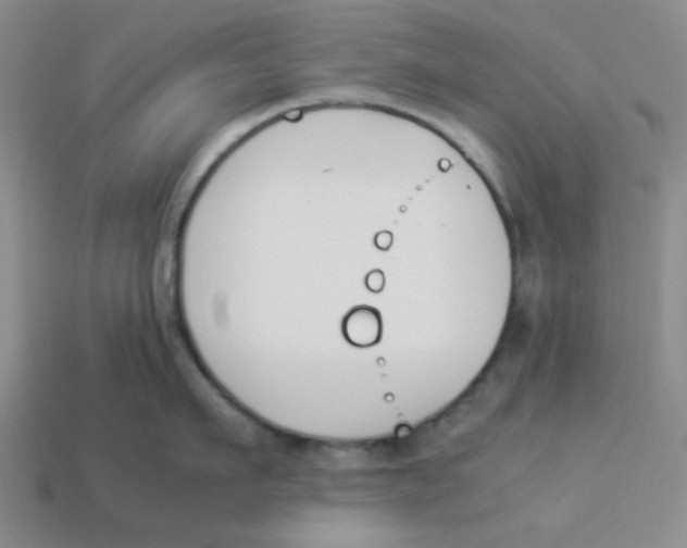 X0000113350911200910131237