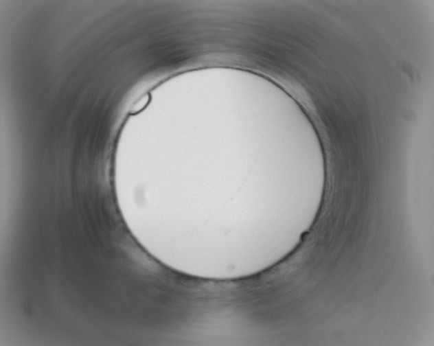 X0000113350912200910131237