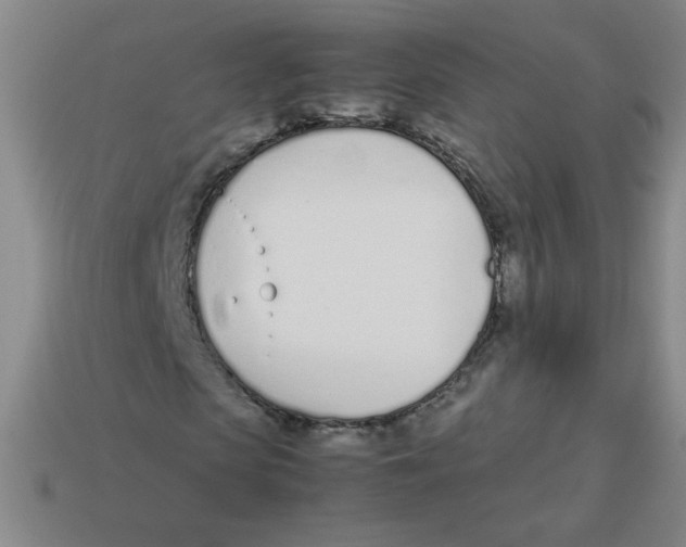 X0000113350913200910131236