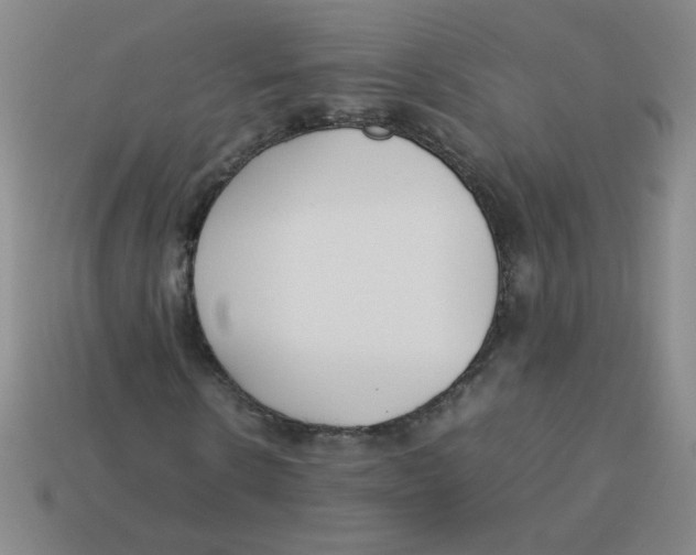 X0000113350914200910131236