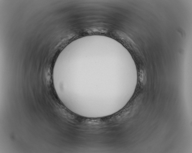 X0000113350915200910131236