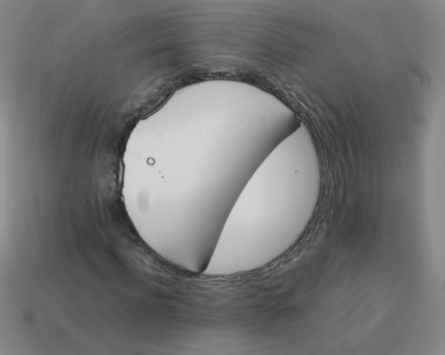 X0000113350916200910131236