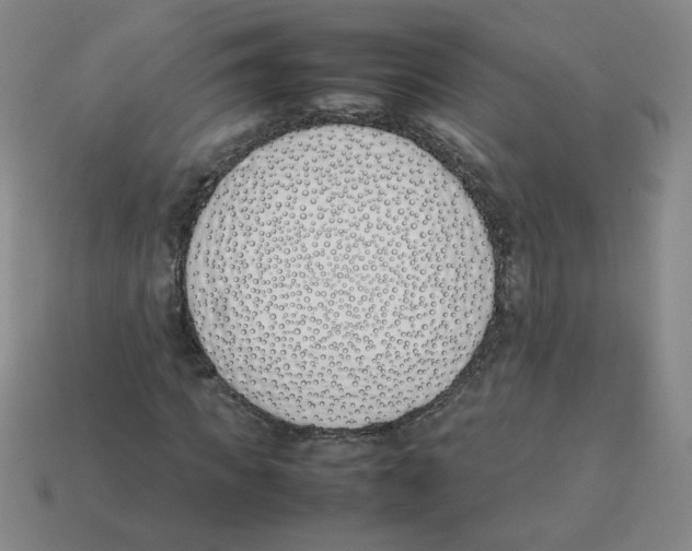 X0000113350917200910131236