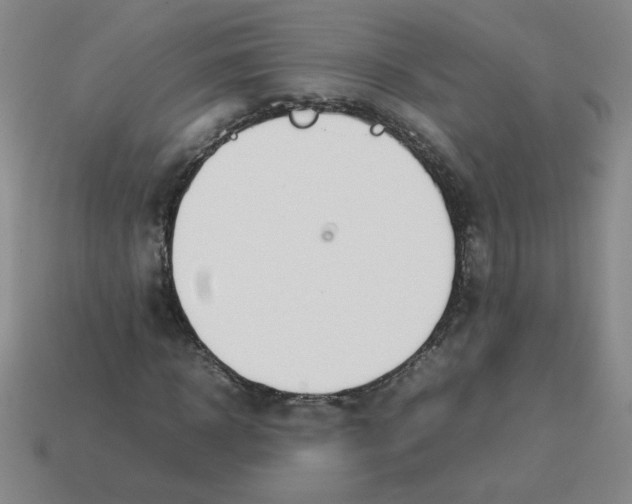 X0000113350918200910131236