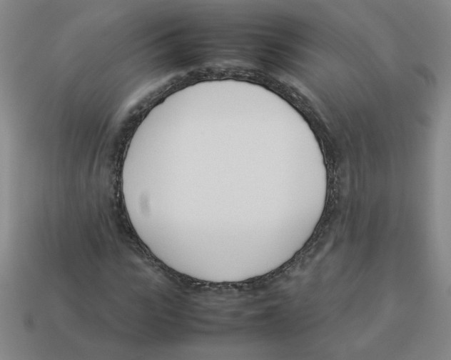 X0000113350919200910131236