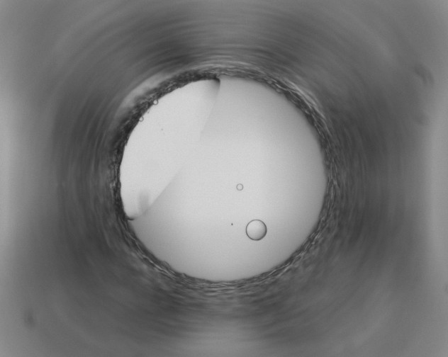 X0000113350920200910131236