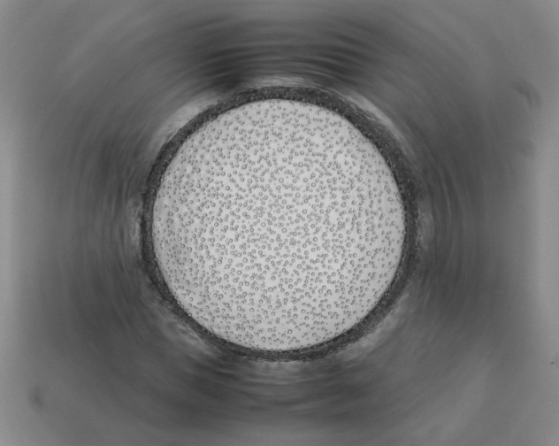 X0000113350921200910131236