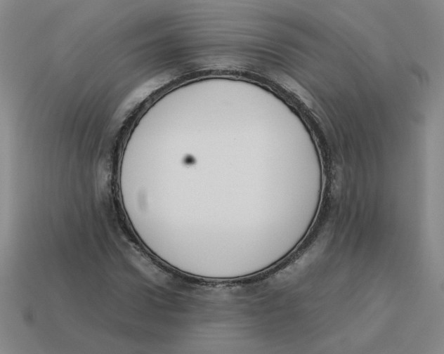 X0000113350922200910131236