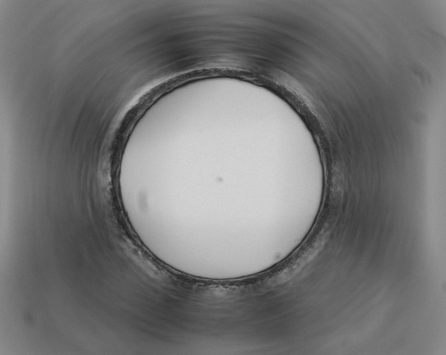 X0000113350923200910131236