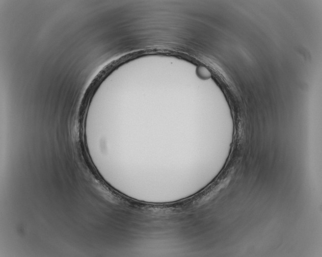 X0000113350924200910131236