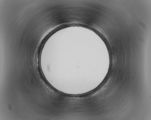 X0000113350925200910131236