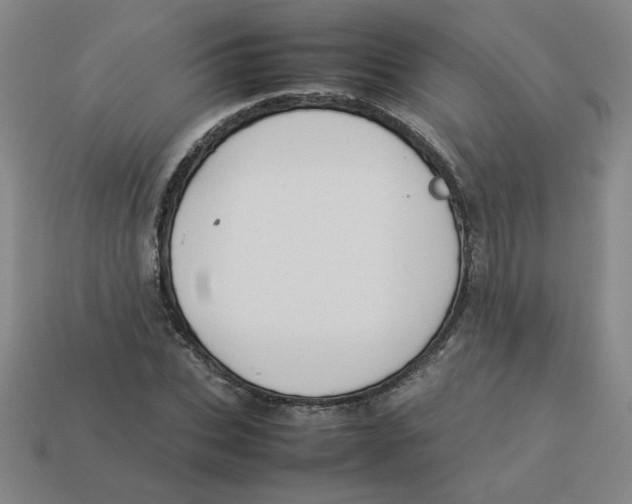 X0000113350927200910131236