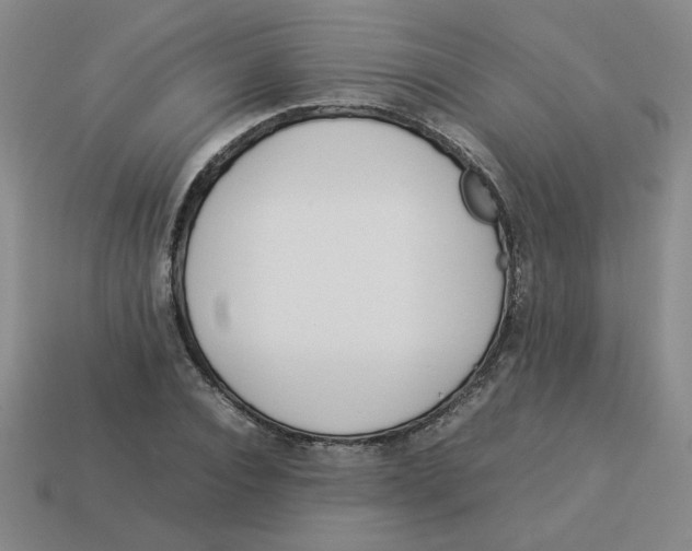 X0000113350928200910131236