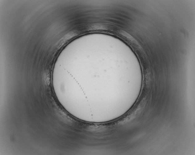 X0000113350929200910131236