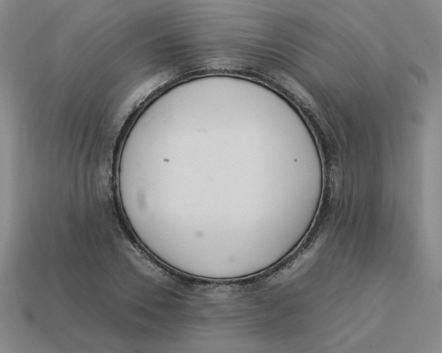 X0000113350930200910131236