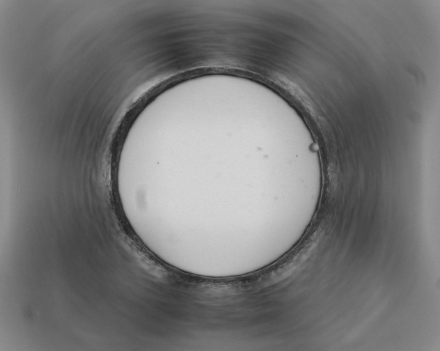 X0000113350931200910131236