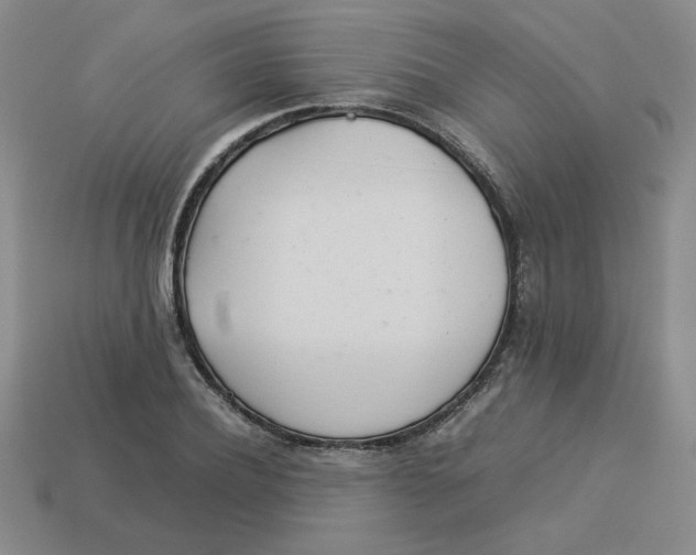 X0000113350932200910131236