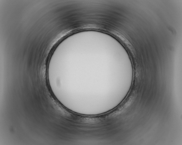 X0000113350933200910131236