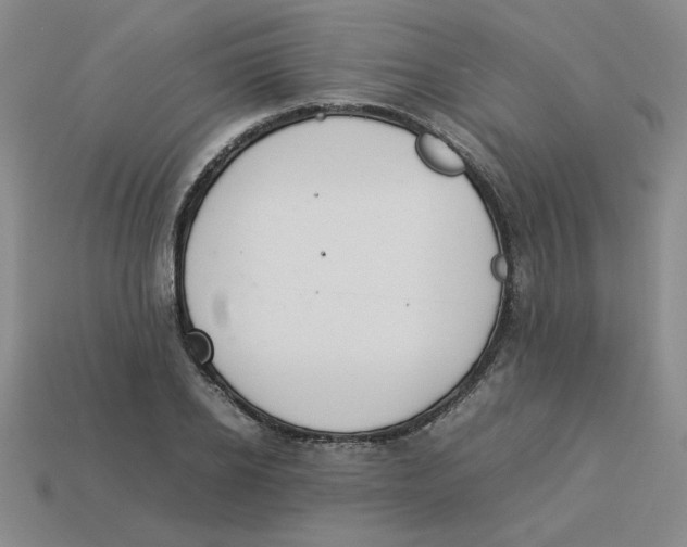 X0000113350934200910131236