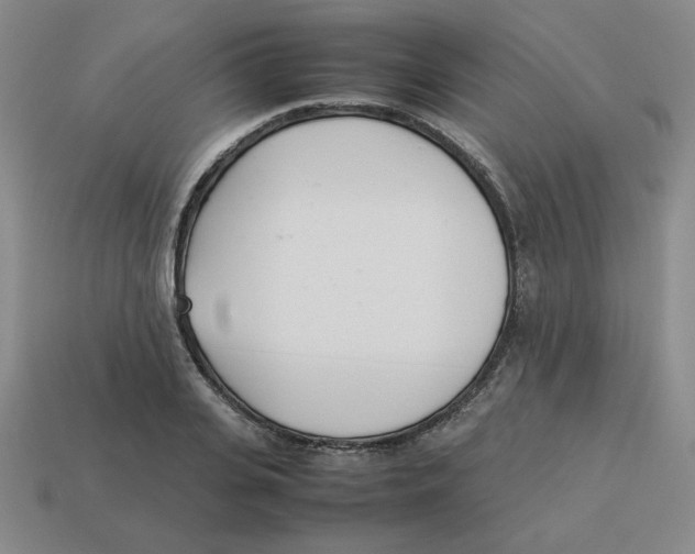 X0000113350935200910131236